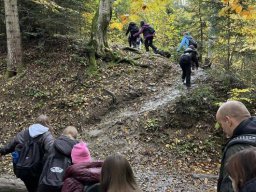 56512354212824057203540405937354232500900731n